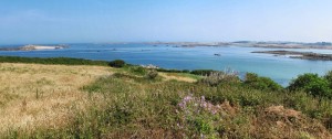 2946_051_Panorama_ile_milliau