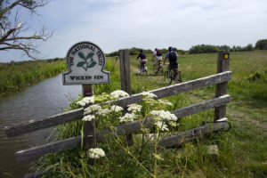 Cycling at Wicken Fen National Nature Reserve, Cambridgeshire.