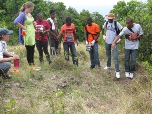 Field Survey lesson