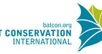 International Groups Forge a Global Alliance for Bat Conservation