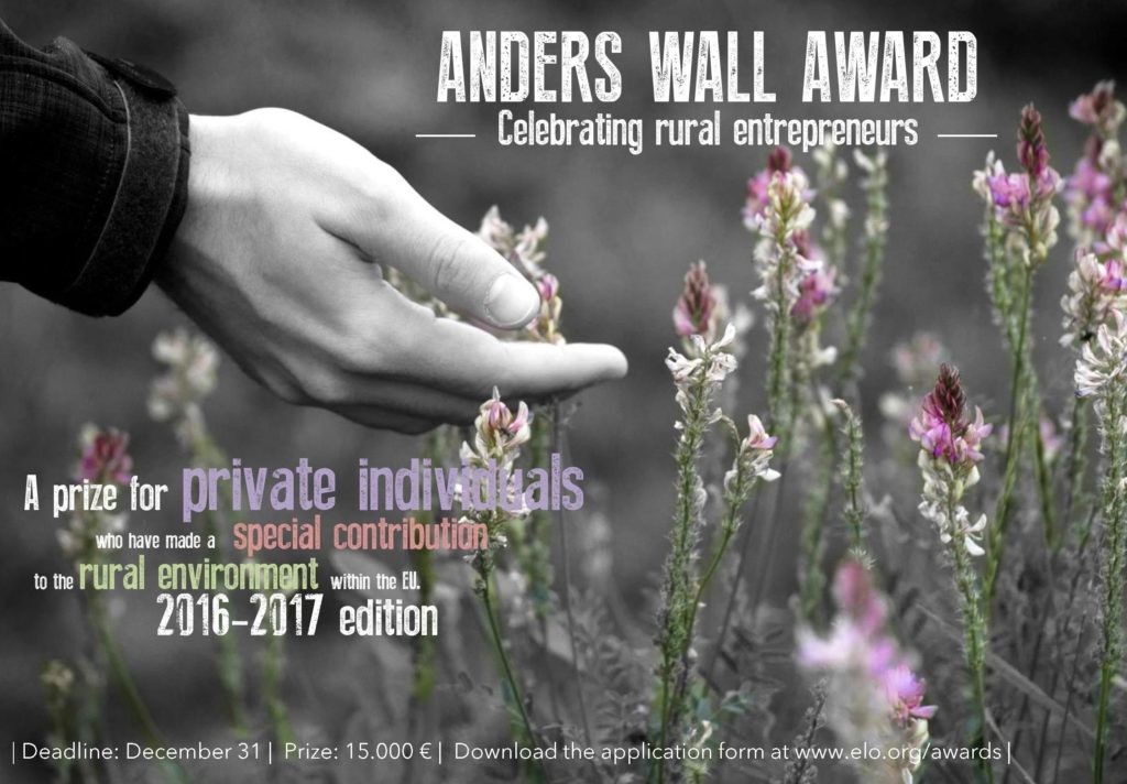 Anders Wall Award 2016/17