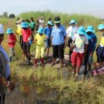 Wetland worries in Zimbabwe (Weekly blog, 17 June 2018)